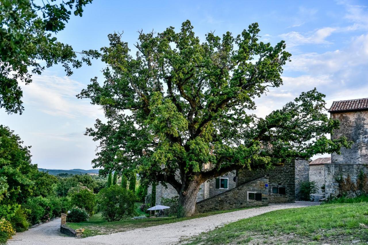Apartamento L'Abbraccio Della Quercia Momjan Exterior foto