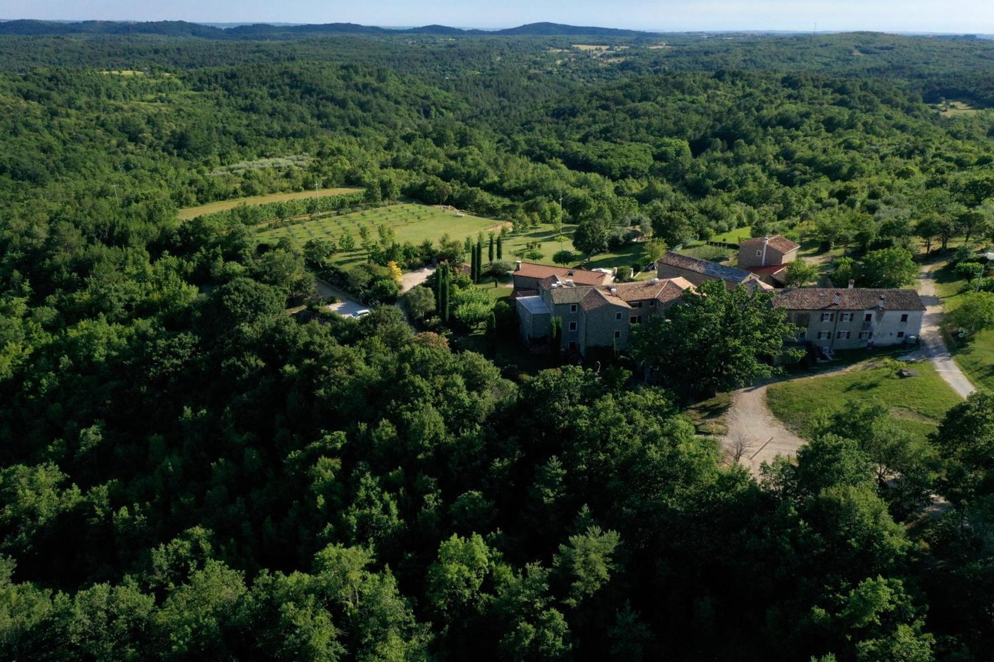 Apartamento L'Abbraccio Della Quercia Momjan Exterior foto